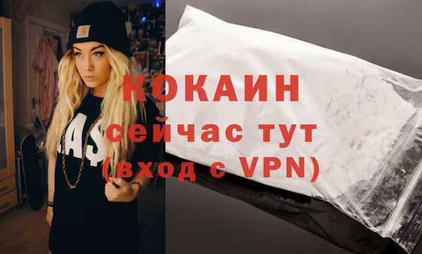 молекула духа Белоозёрский