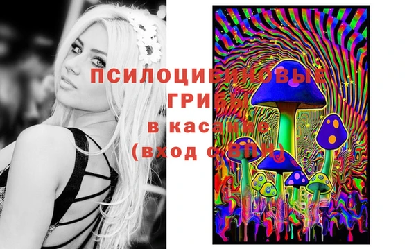 меф VHQ Няндома