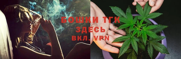 сатива Белокуриха