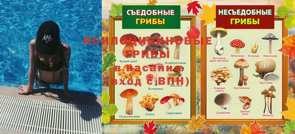 сатива Белокуриха
