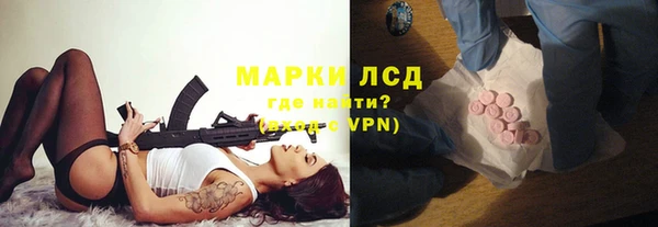 сатива Белокуриха