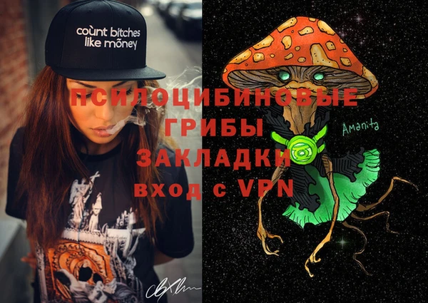 молекула духа Белоозёрский