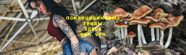 молекула духа Белоозёрский