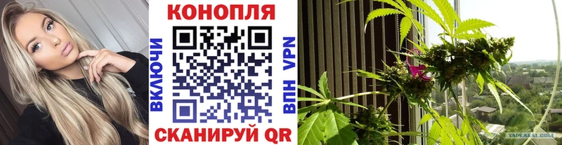 Каннабис SATIVA & INDICA Светогорск